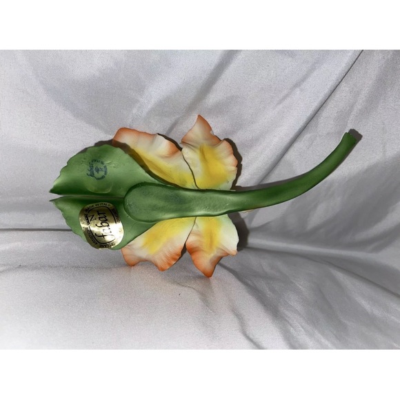 Fabar - Picture 3 of 4